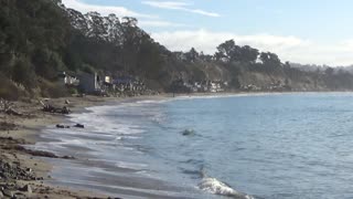 Capitola, CA — New Brighton State Beach #1