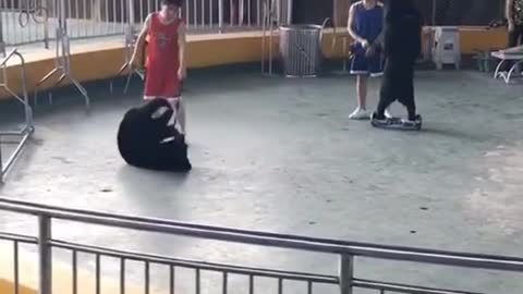 Somersault