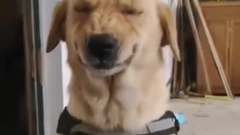 A funny look