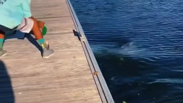 Wow#fishingtiktoks