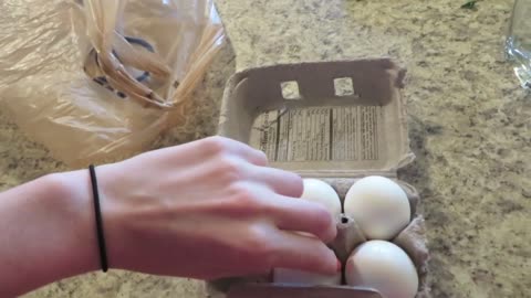 EGGcellent