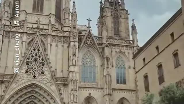Visiting local Flea market at Cathedral de Barcelona, Spain🇪🇸 #shorts #travel #Spain #Fleamarke