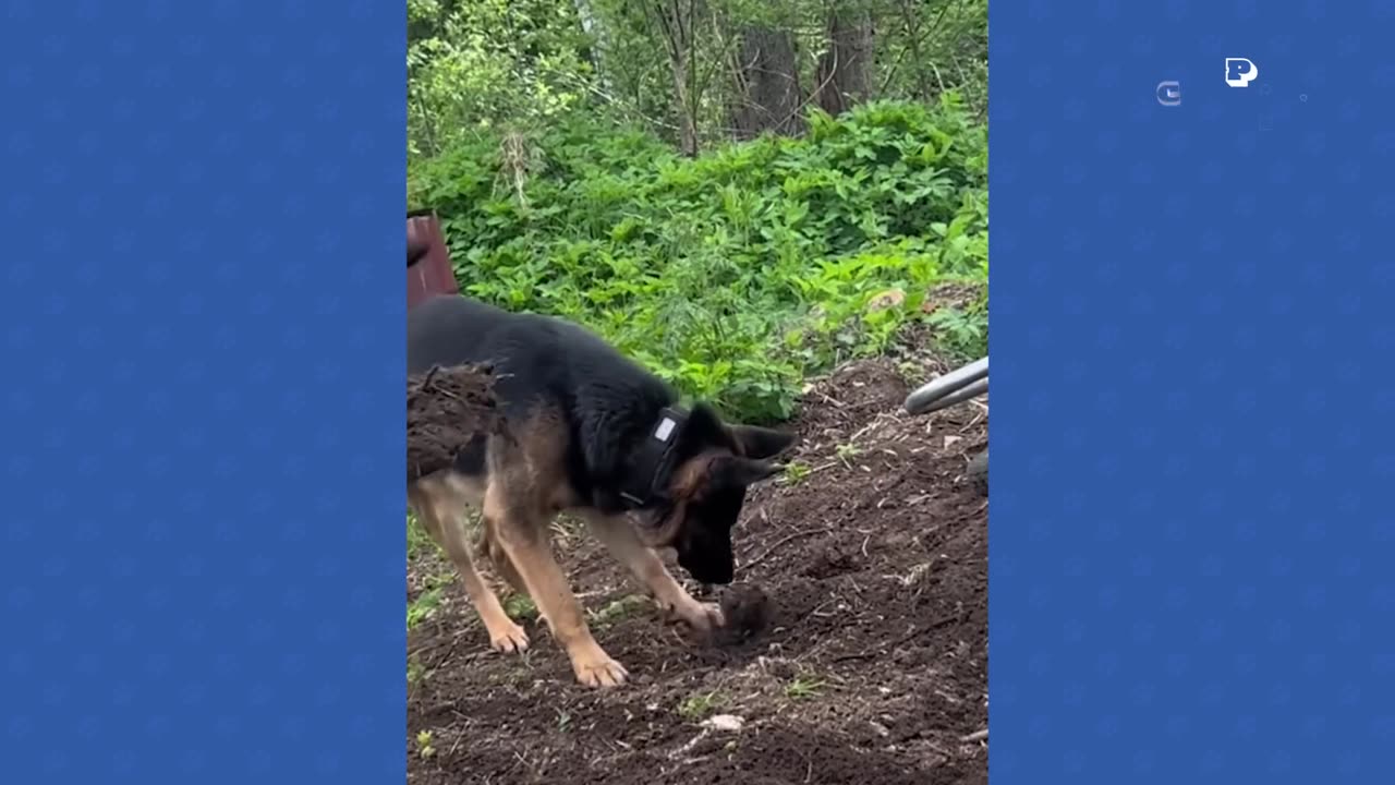 YOU WONT REGRET WATCHING IT! IT MAKES YOUR DAY COMPLETE!!!!