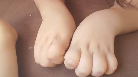 Cat's paws