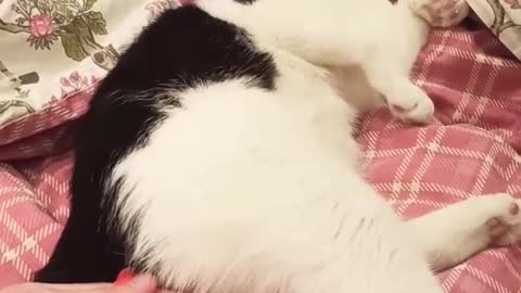 До конца смотрит 😅😅🤣