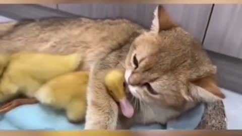 Let me take care of them ❤ 😄