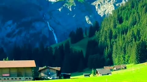 Nature is Amazing As You