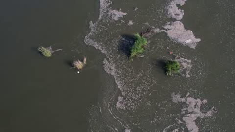 Footage of the Flooded Dnipro Shoreline