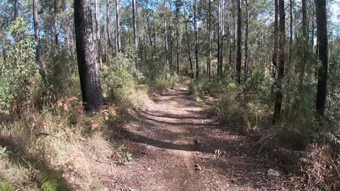 Little KLR650 jaunt somewhere near Esk ends wish a crash because my tires have no traction