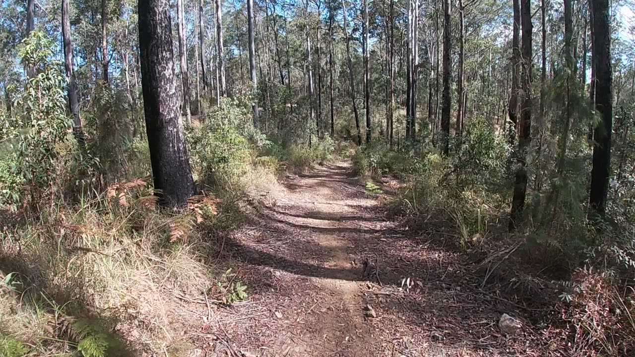 Little KLR650 jaunt somewhere near Esk ends wish a crash because my tires have no traction