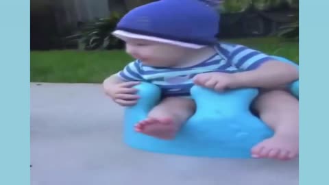 Animals vs people Funny Compilation