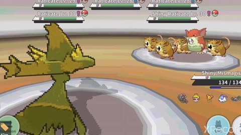 Raticate