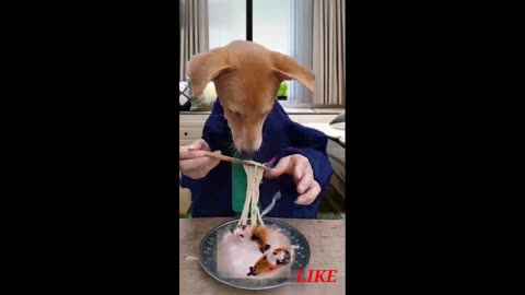 Funy Video