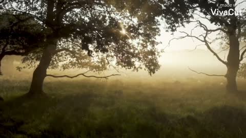 Beautiful nature: This Was Unexpected!!