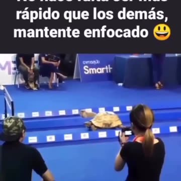 Tortura vence en carrera como el la fabula