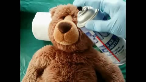 Dr Rufus