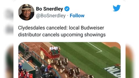 The beer tastes a little queer - Bud light business