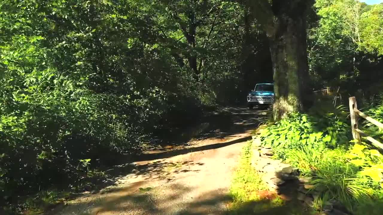 Riverside Camping with my Dog and Old Truck-4