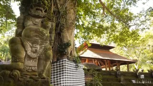Bali Indonesia 😍❤❤❤❤