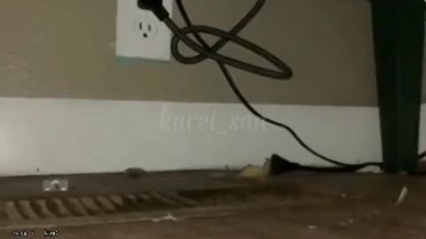RIP Mouse