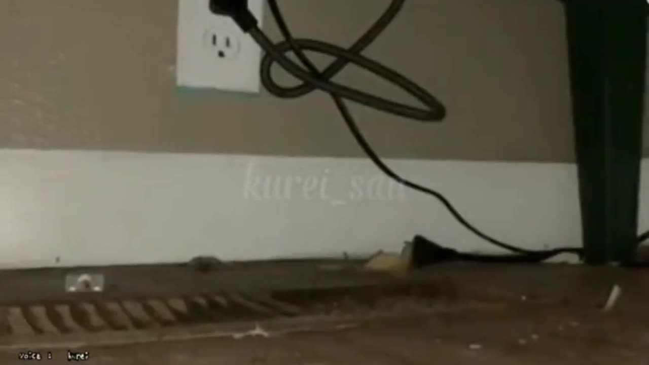 RIP Mouse