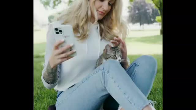 Baby Cats - Cute and Funny Cat Videos Compilation