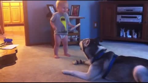 Funny Moments Baby and Dog