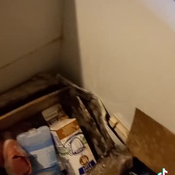 Rotting Freezer