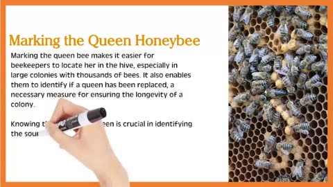 Uses for a Queen Marker