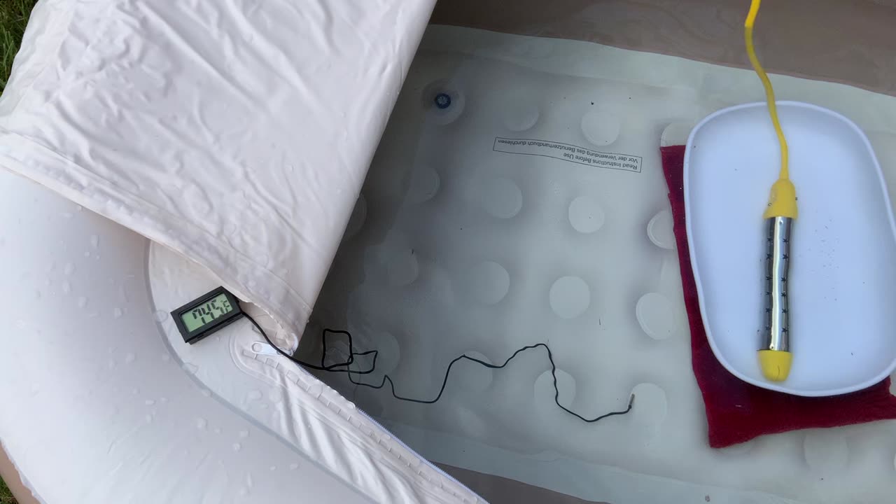 Results After 37 Minutes Have Elapsed at 131 Degrees Fahrenheit; Again Explaining Homeostasis; Trial and Error at Work; the Immersion Water Heater’s Conductivity and Safety; and Increasing the Heat from 131 Degrees to 167 Degrees 10/08/2023 1224
