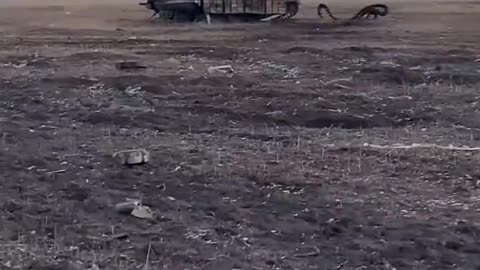 Destroyed AFU armored vehicles on the Zaporizhzhya direction.