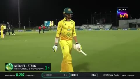 Top 10 Zero IQ -- Moments in Cricket - By The Way(360P)
