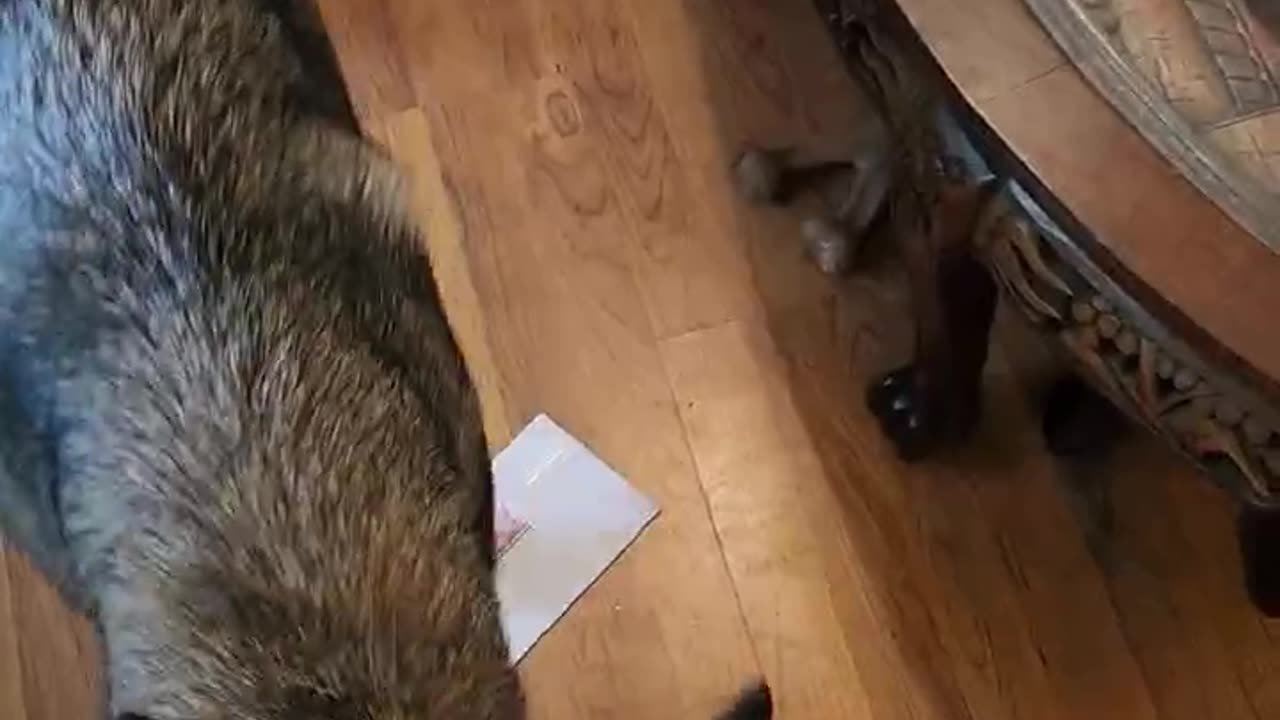 GSD
