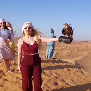 Funny funny video 📸📷