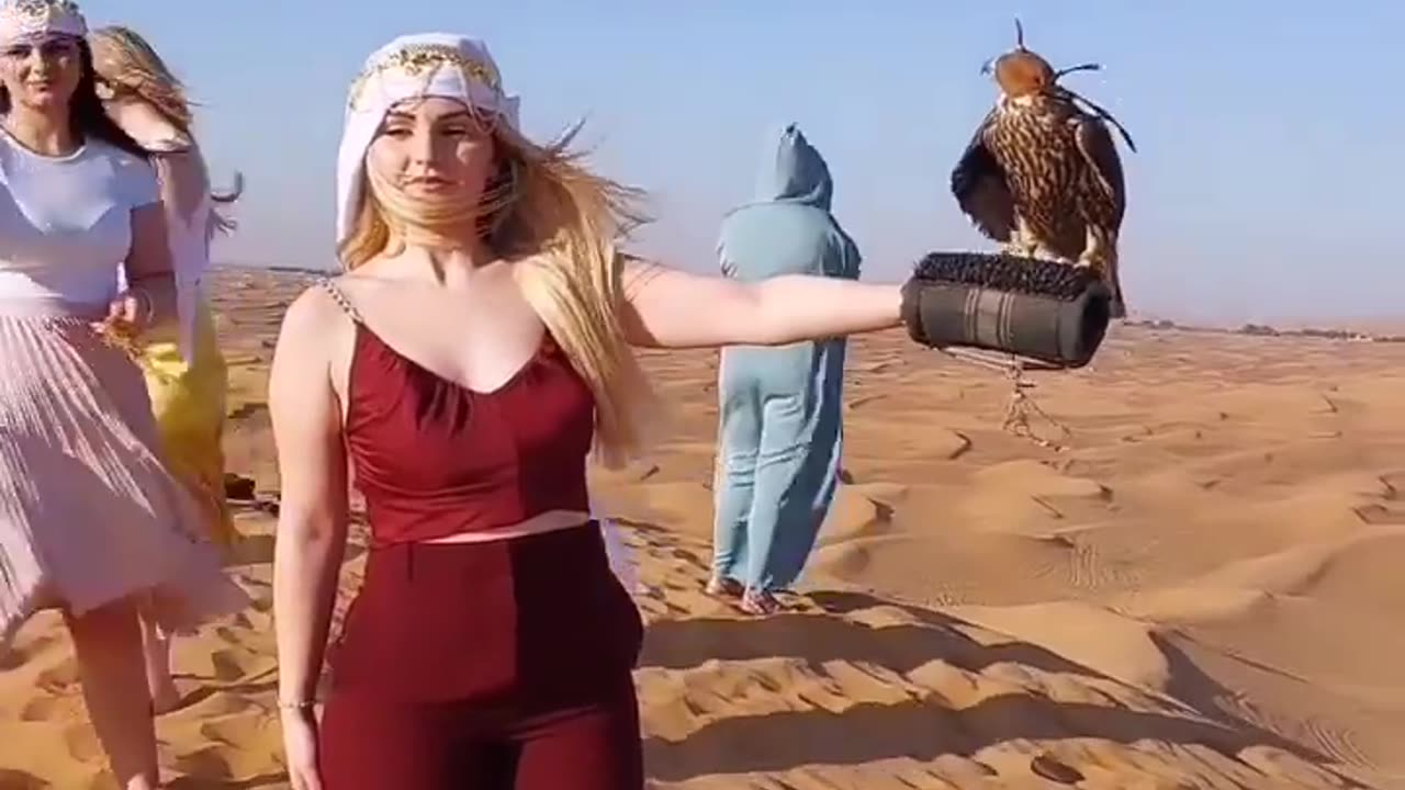 Funny funny video πΈπ·