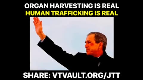 Is Human Organ Harvesting Real