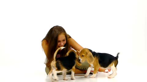 Why puppies Love and fear Babies. Watch this.