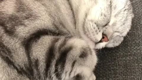 Hold yourself to sleep