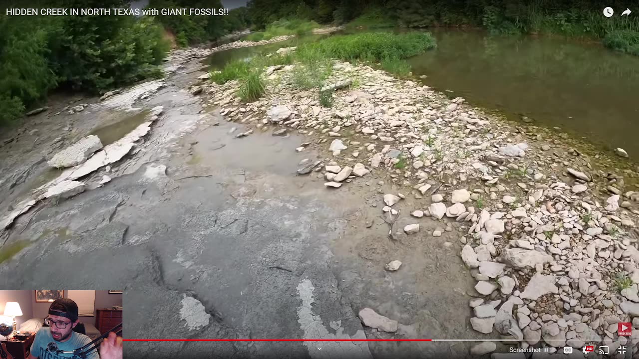 Underground Science #334 - Walking on Ammonites