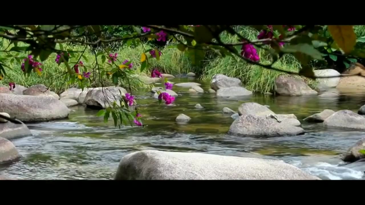 5 Nature Bird || Bambo Flute||