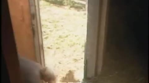 July 22, 1986 - West Central Indiana Farmers Send Hay to Those in Need in Southern US