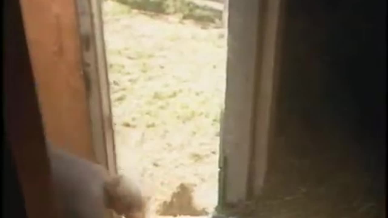 July 22, 1986 - West Central Indiana Farmers Send Hay to Those in Need in Southern US