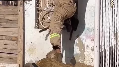 Gaint spider prank.