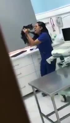 Una cámara oculta graba cómo trata esta veterinaria a un gato ingresado y se hace viral