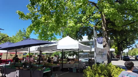 FIRST WEEK LIVING IN PORTLAND