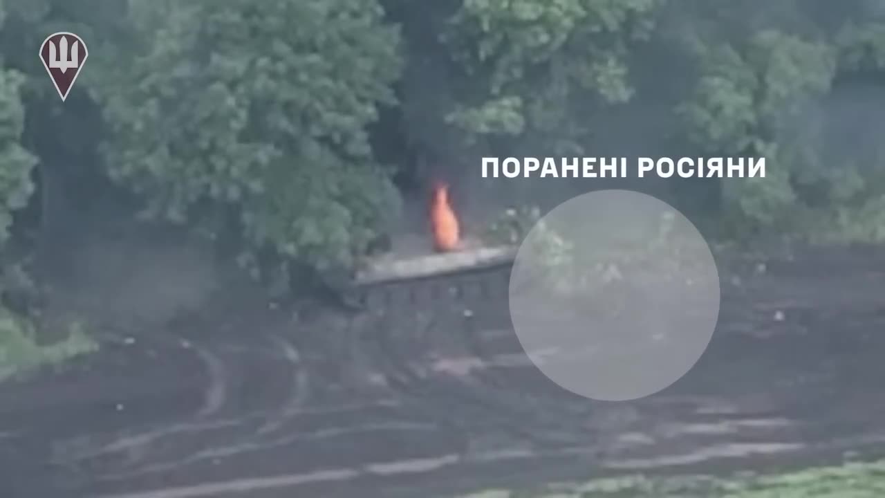 The hunt for invaders continues