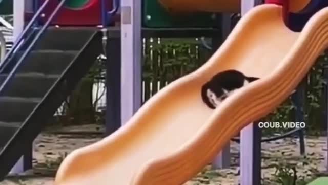 Crazy funny video