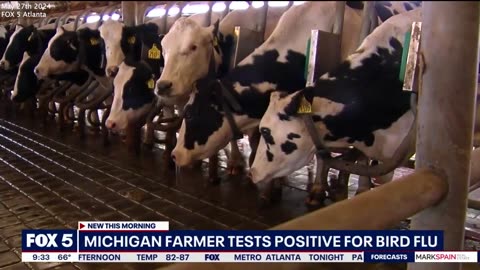 Bird Flu | "A Farm Worker In Michigan Tested Positive for Bird Flu." May 28, 2024
