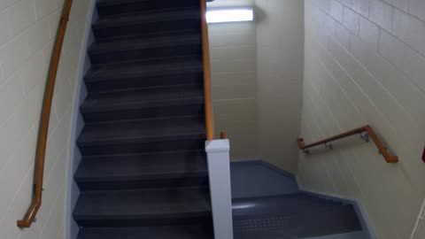 3889FHOB05Stair10_2021-01-05_07h00min01s117ms.mp4