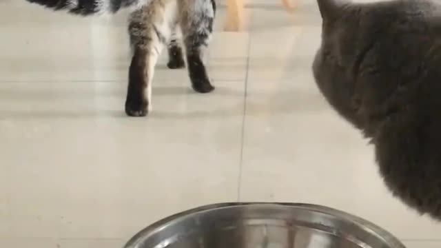 Get out of my way, I'm hungry 😂
